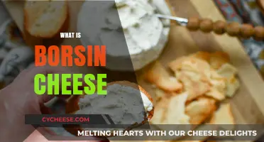 Discovering Boursin Cheese: A Creamy, Flavorful French Delight Explained