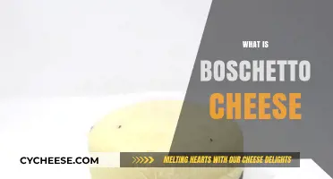 Discover Boschetto Cheese: A Creamy, Earthy Italian Delight Explained
