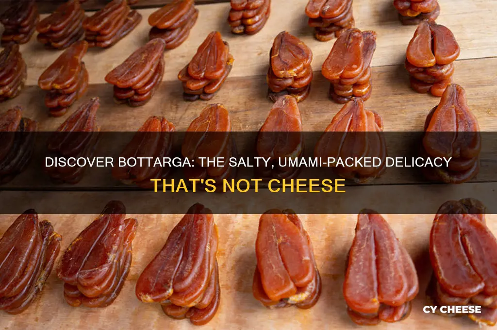 what is bottarga cheese