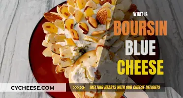 The Delicious Difference: Boursin Blue Cheese