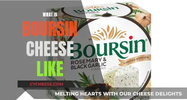 Boursin Cheese: A Creamy, Garlicky French Indulgence