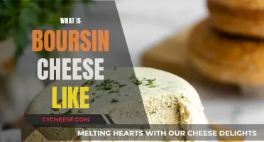 The Unique Taste of Boursin Cheese: A Review
