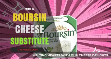 Discover the Best Boursin Cheese Substitute for Your Recipes