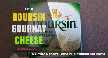 Discover Boursin Gournay Cheese: A Creamy French Delight Explained
