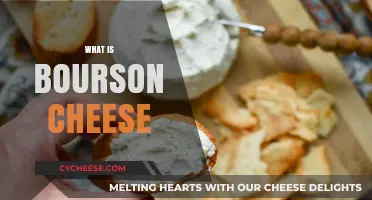 Discovering Bourson Cheese: A Creamy, Flavorful French Delight Explained
