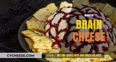 Unraveling the Mystery: What is Brain Cheese and Why It Matters