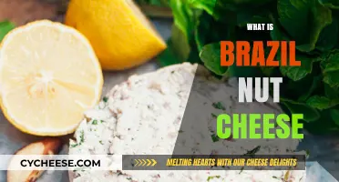 Discover Brazil Nut Cheese: A Vegan, Creamy, Nutty Delight