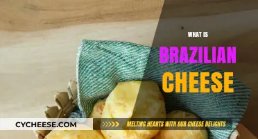 Exploring the Rich Flavors of Authentic Brazilian Cheese Varieties