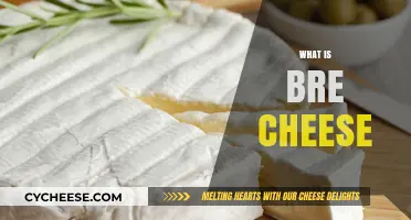 Discovering Bre Cheese: Origins, Flavor, and Culinary Uses Explained