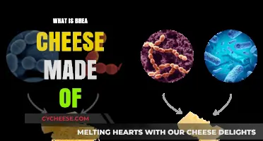 Unveiling the Secrets: Ingredients of Breafast Cheese