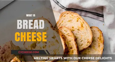 Discover the Unique Flavor and Texture of Bread Cheese