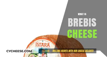 Discover Brebis Cheese: A French Sheep's Milk Delight Explained