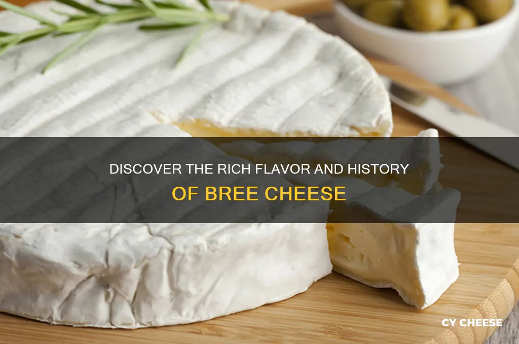 what is bree cheese