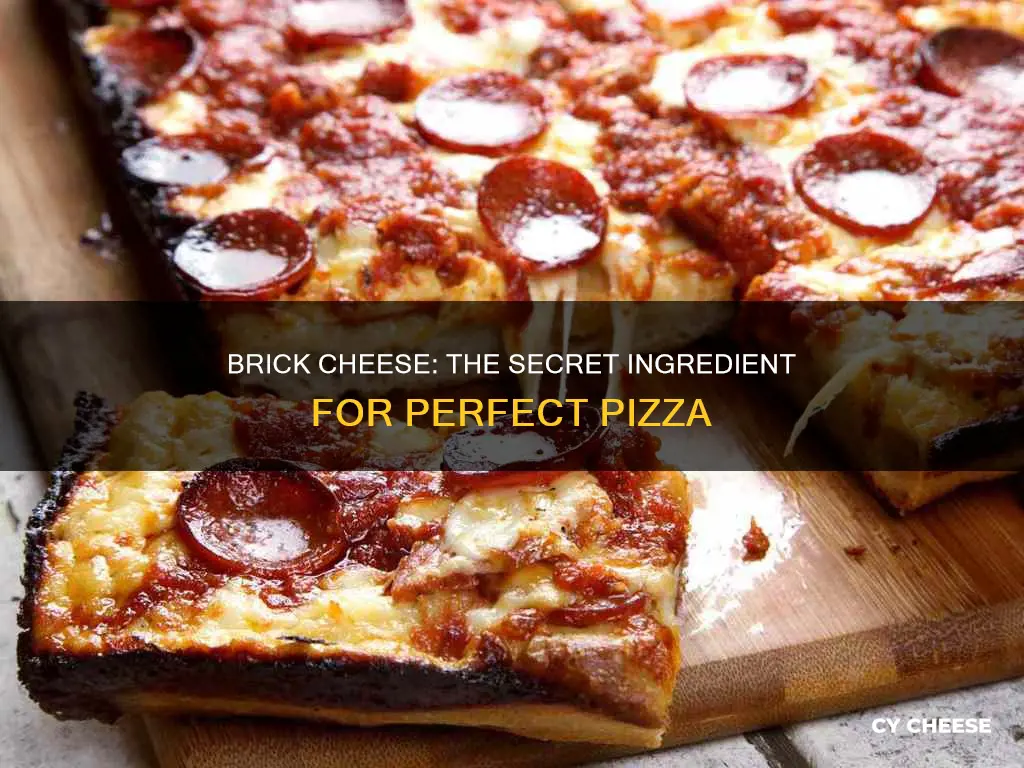 what is brick cheese for pizza