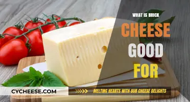 Discover Brick Cheese Uses: Recipes, Pairings, and Culinary Tips