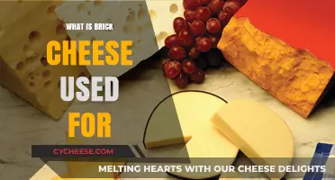 Brick Cheese: Uses and Applications