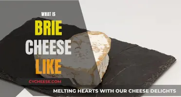 A Creamy, Rich Brie: Exploring Its Unique Texture