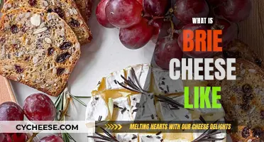 Brie Cheese: A Beginner's Guide to Taste and Texture