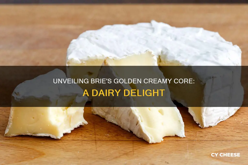 what is brie cheese made out of