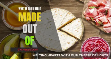 The Magic Ingredients Behind the Delicious Brie Cheese