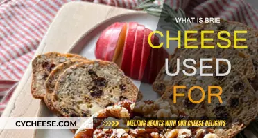 Brie Cheese: Uses and Applications