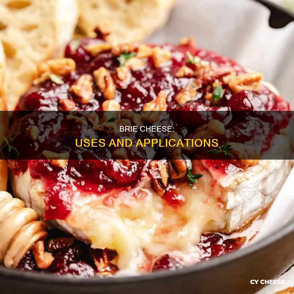 what is brie cheese used for