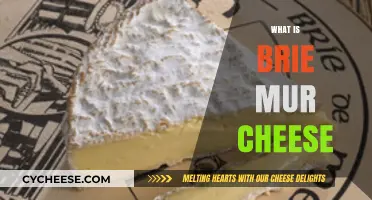 Discovering Brie Mur: A Rich, Creamy French Cheese Delight