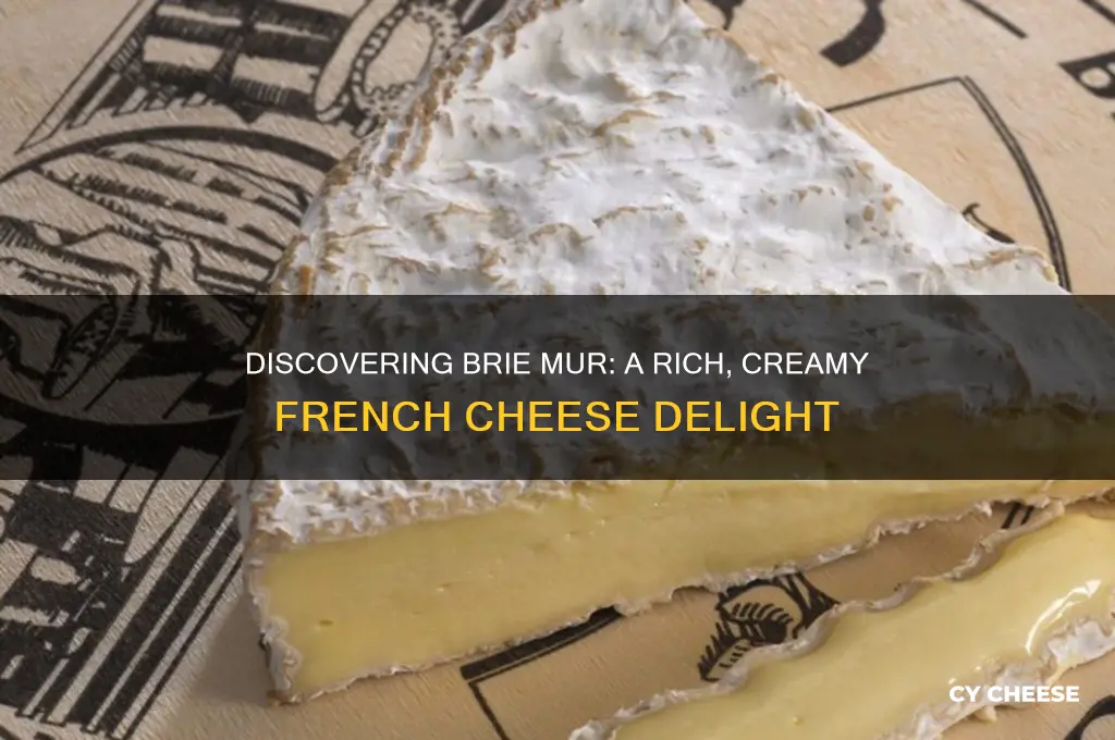 what is brie mur cheese