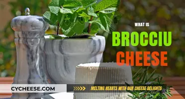 Discover Brocciu Cheese: Corsica's Creamy, Versatile Culinary Treasure