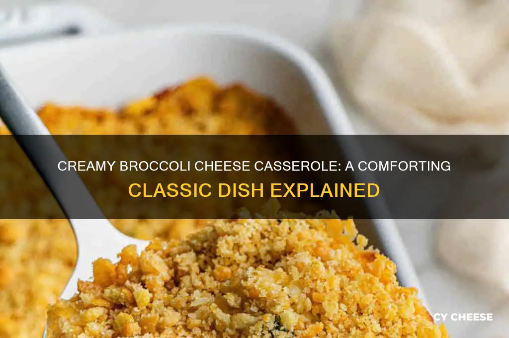 what is broccoli cheese casserole