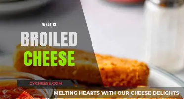 Discover the Crispy, Melty Magic of Broiled Cheese Delights