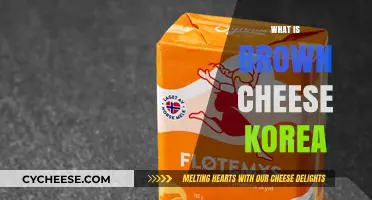 Exploring Korea's Unique Brown Cheese: Origins, Flavor, and Uses
