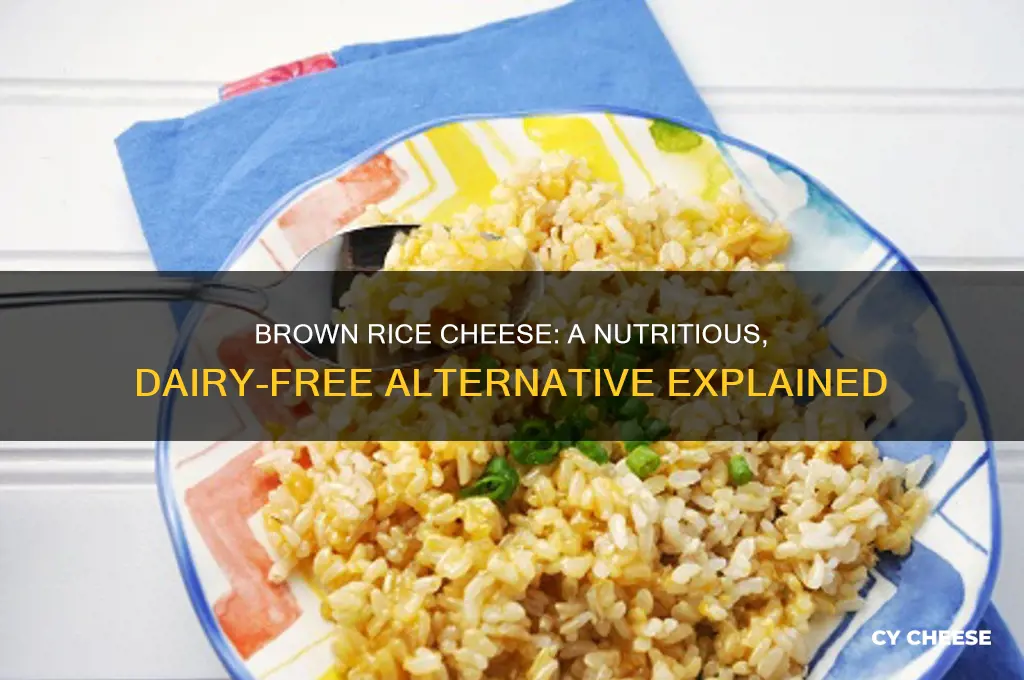 what is brown rice cheese