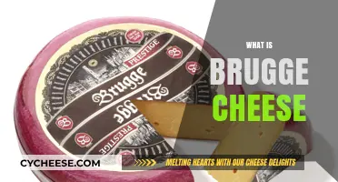 Discover Brugge Cheese: Belgium's Rich, Creamy, and Historic Dairy Delight