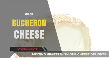 Discover the Rich, Creamy Delight of Bucheron Cheese