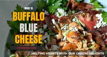Blue Cheese and Buffalo: A Match Made in Heaven