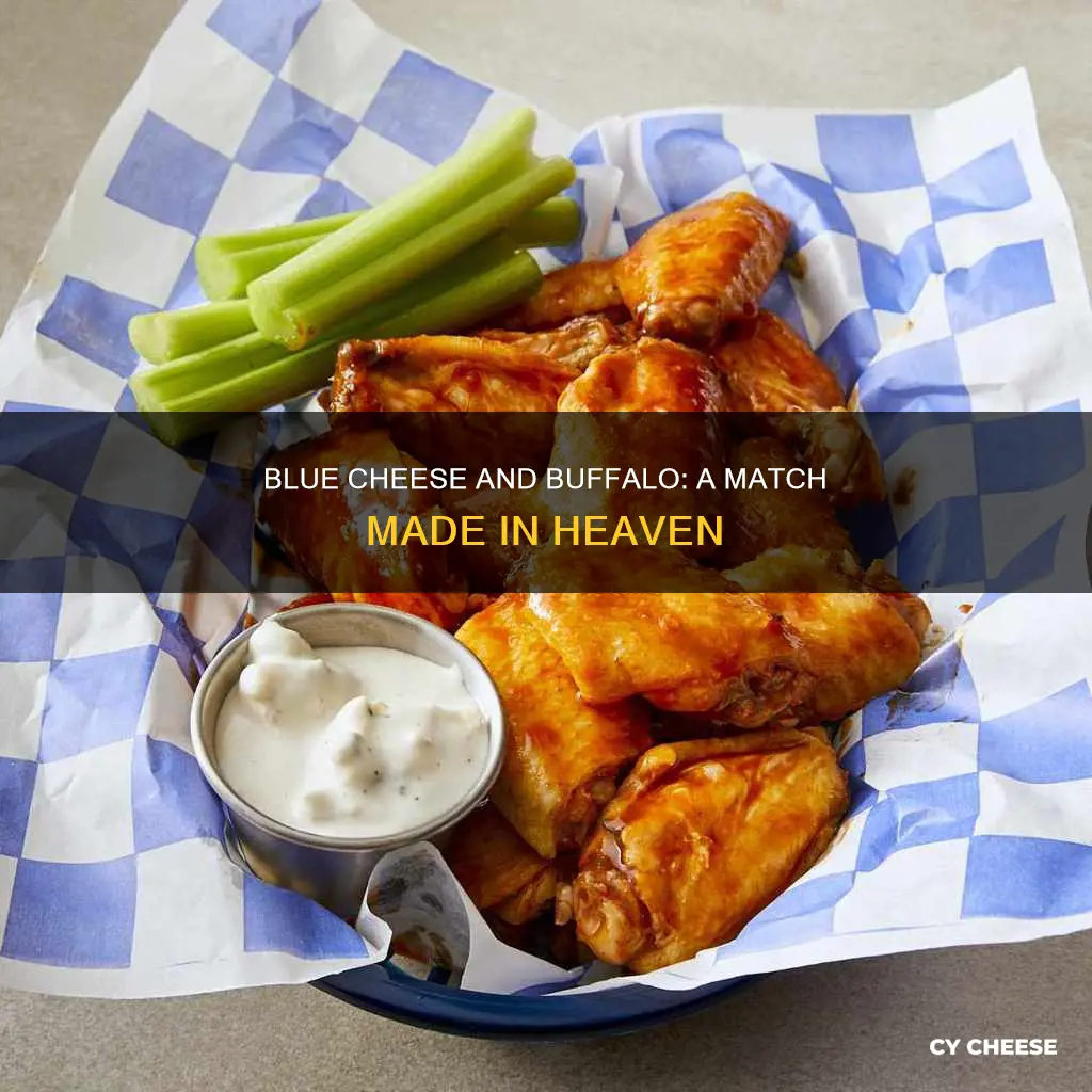 what is buffalo blue cheese