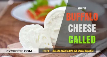 Discovering Buffalo Cheese: Its Unique Name and Delicious Varieties