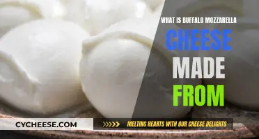 The Art of Making Mozzarella: Buffalo Milk Magic