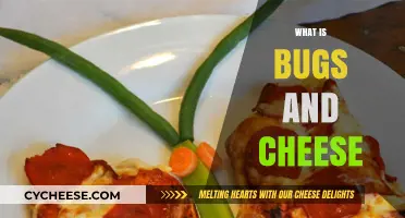 Exploring the Unique Culinary Delight: Bugs and Cheese Explained