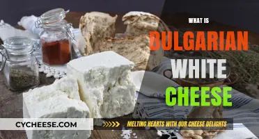 Discover Bulgarian White Cheese: A Creamy, Tangy Balkan Delight