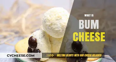 Unveiling the Mystery: What is Bum Cheese and Why It Matters