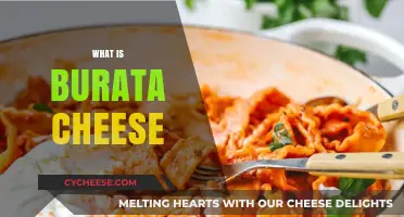 Discover the Creamy Delight: What is Burrata Cheese and How to Enjoy It