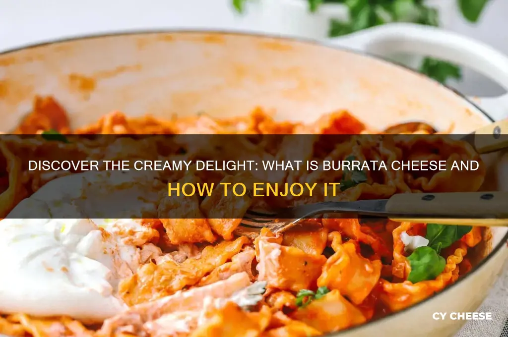 what is burata cheese