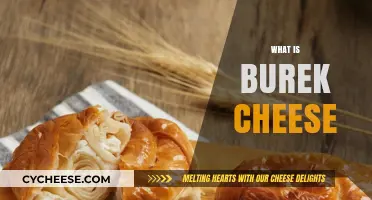 Discover the Delicious World of Burek Cheese: A Savory Delight