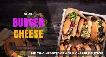 Understanding Burger Cheese: Types, Uses, and Perfect Pairings Explained