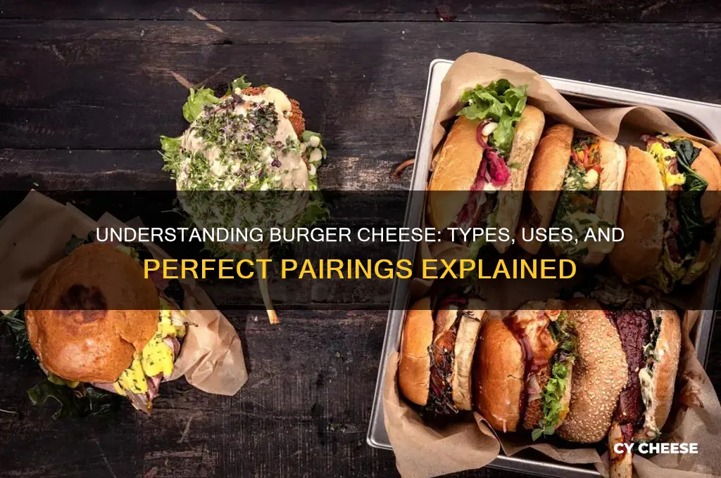 what is burger cheese