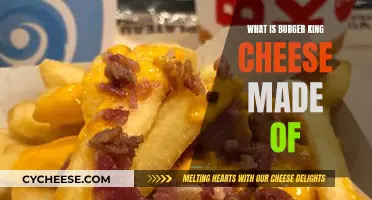 Burger King's Cheese: Ingredients and Taste