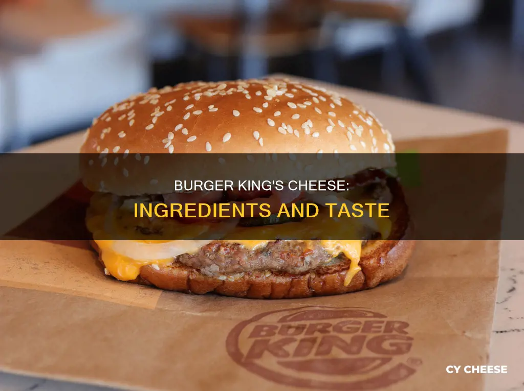 what is burger king cheese made of