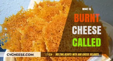 Burnt Cheese: Exploring the Crispy, Charred Delight and Its Names